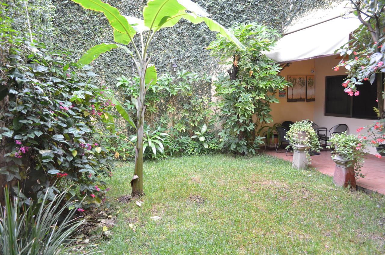 Hotel Don Nino Oaxaca Eksteriør billede